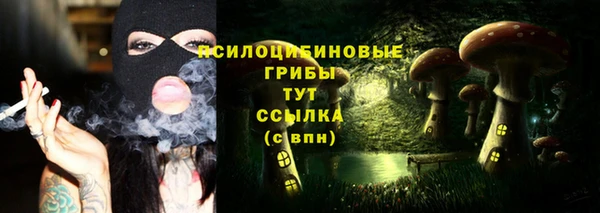 спиды Балабаново