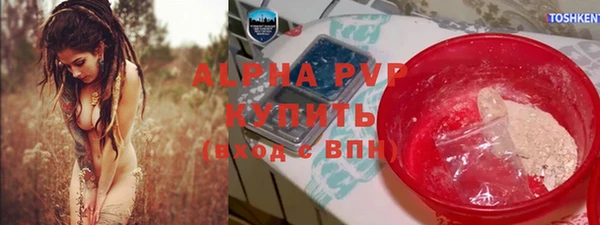 стаф Белокуриха
